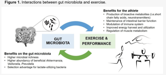 Marttinen M, Ala-Jaakkola R, Laitila A, Lehtinen MJ. Gut Microbiota, Probiotics and Physical Performance in Athletes and Physically Active Individuals. Nutrients. 2020; 12(10):2936